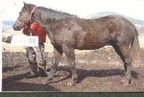 �¸���ǳ (SEUNGNI DOLPUNG) ����