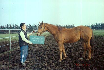 ��õ ����