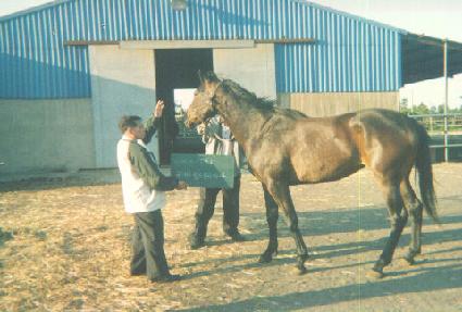 ��̺� ����