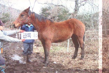 ������� ����