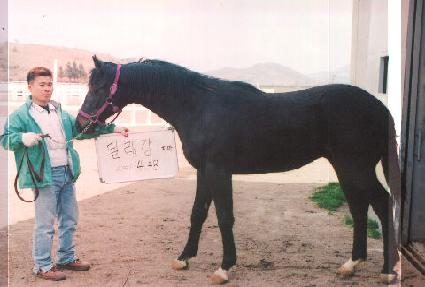 õ�μ� ����