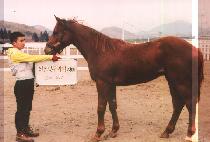 ������� (HUIMANG NARA) ����