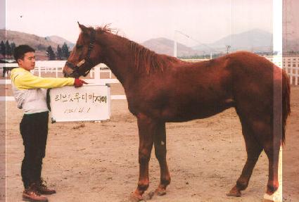 ������� ����