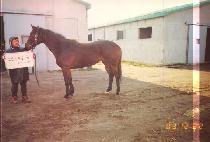 ��� (SAMGYEONG) ����