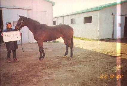 ��� ����