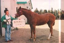 ������ (BAWISEOM) ����