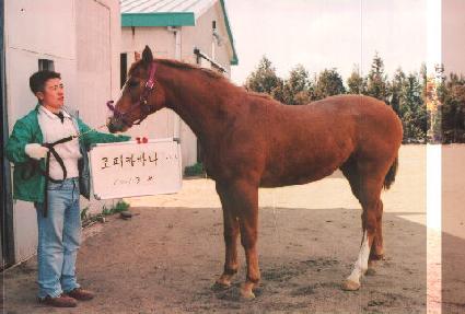 ������ ����