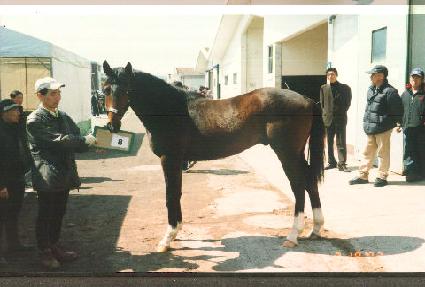 ��ũ�� ����