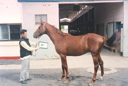 ������ ����