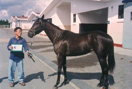 �ص��� ����