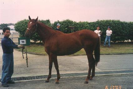 �ö��� ����