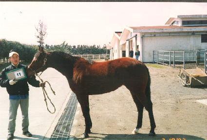 ������ ����