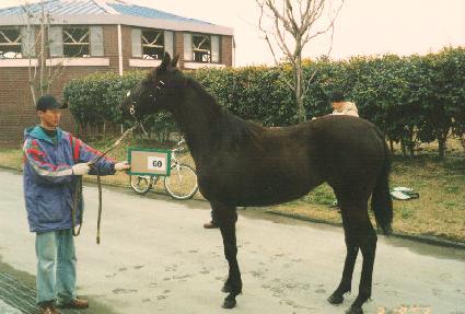 ����ǳ ����