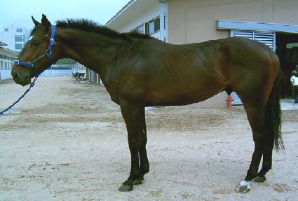 ���� ����