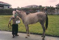 �����ο� (MYEONGYEROUN) ����