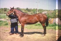 �׷���� (GRAND GIRL) ����