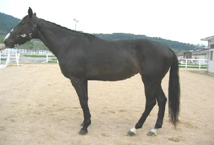 ������� ����