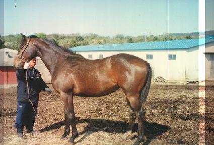 ���Ķ� ����