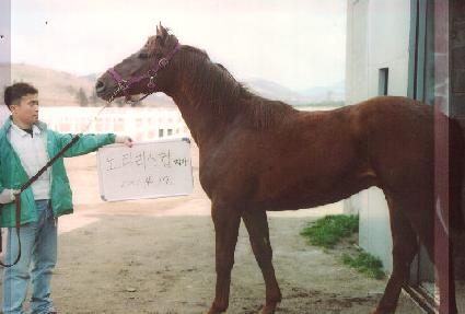 ������ ����