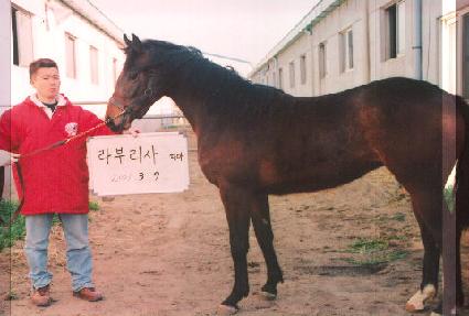 �ʼ� ����