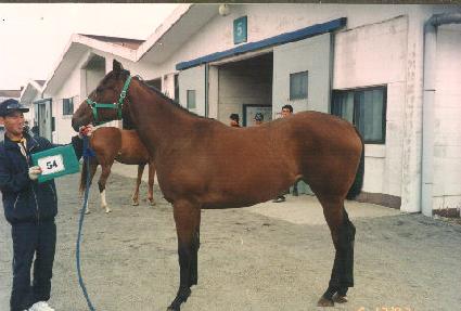 �밣�� ����