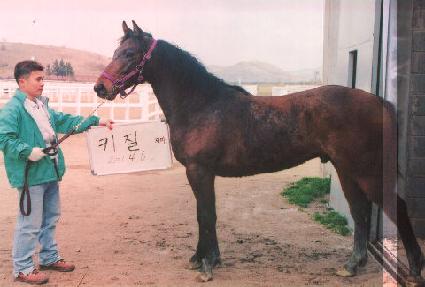 ���� ����