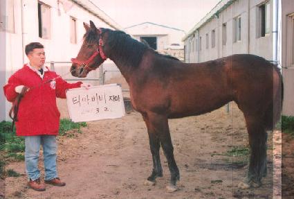 �̽�Ƽ�� ����