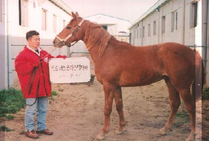 �߼��� ����