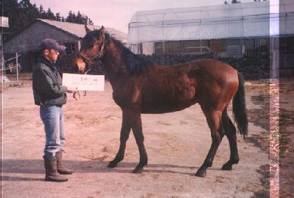 �ʶ��� ����