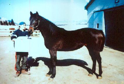 �Թ�� ����