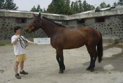 ��Ű��� ����