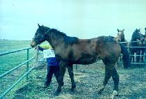 �������Դ� (HAPPY TOGETHER) ����