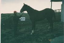 ȭ���� (HWARANGBEOL) ����