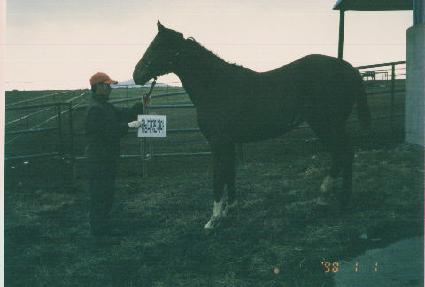 ȭ���� ����