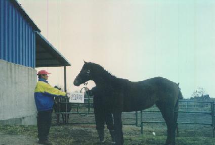 ȭ�̾���ġ ����