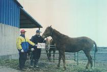 ������� (HEAD HUNTING) ����