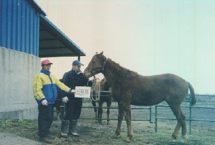 ������� ����