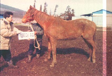 �Ź��� ����