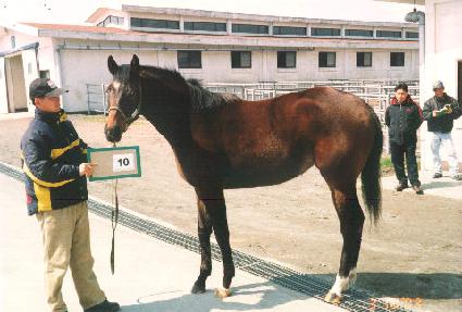 �븶ũ���� ����