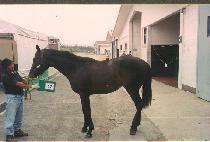 ����ȥ (OCHUHON) ����