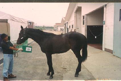 ����ȥ ����