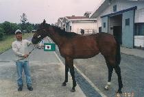 ���ο��� (YEONBUYEONGANG) ����