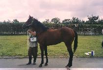 ȯ�� (HWANSONG) ����