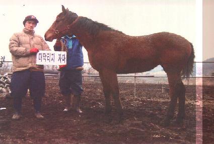 ������ȭ ����