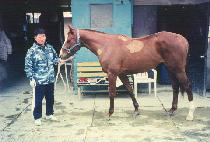 ������� (JEONGJEONGDANGDANG) ����