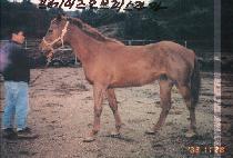 ���佺Ƽ�� (ROCK FESTIVAL) ����