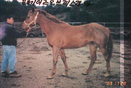 ���佺Ƽ�� ����