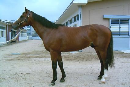 �깫�� ����