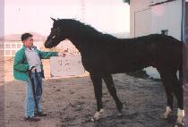 �����̵� (POSEIDON) ����