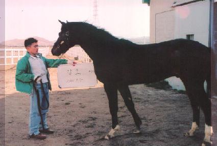 �����̵� ����